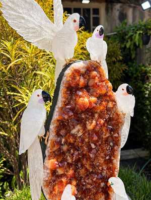 White Cockatoos on Citrine Druse — Crystal Carving