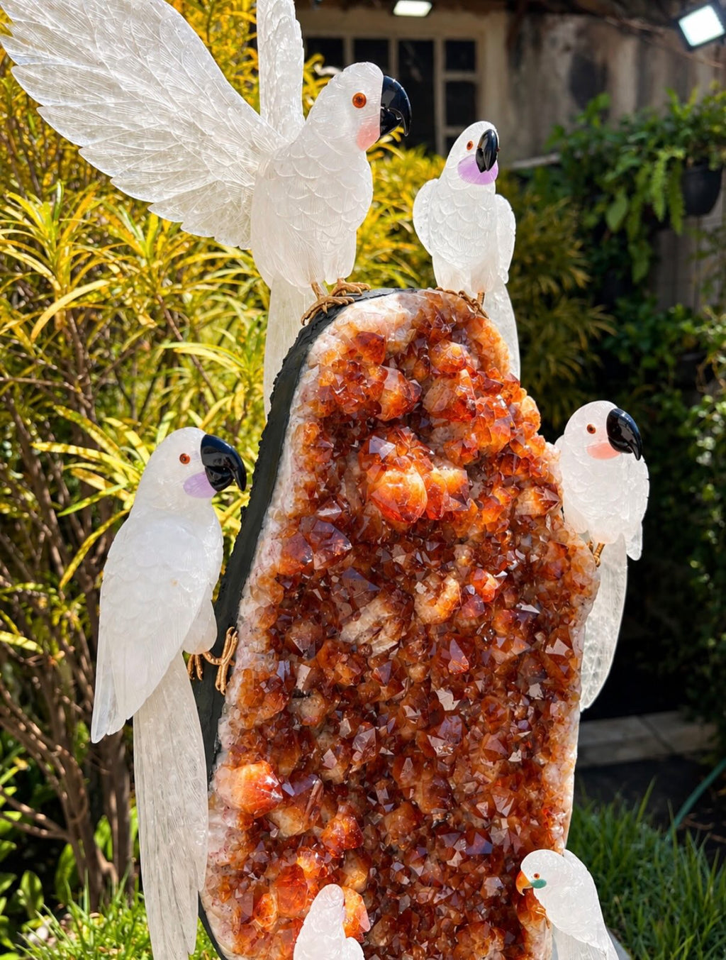 White Cockatoos on Citrine Druse — Crystal Carving