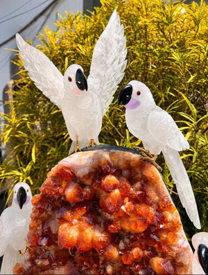 White Cockatoos on Citrine Druse — Crystal Carving