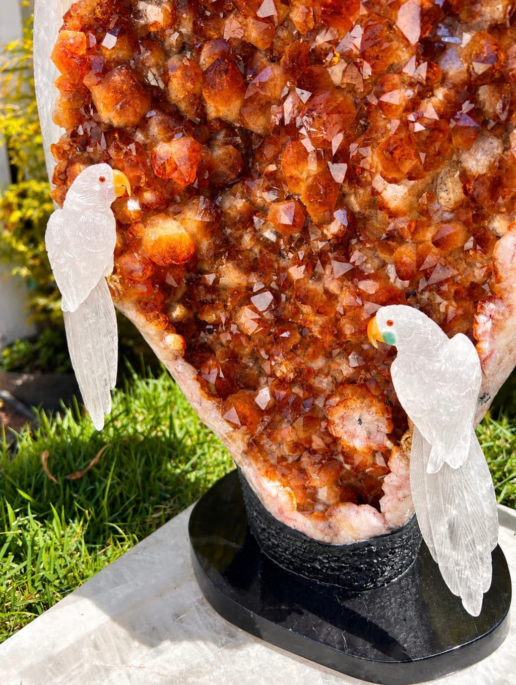 White Cockatoos on Citrine Druse — Crystal Carving