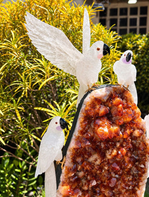 White Cockatoos on Citrine Druse — Crystal Carving
