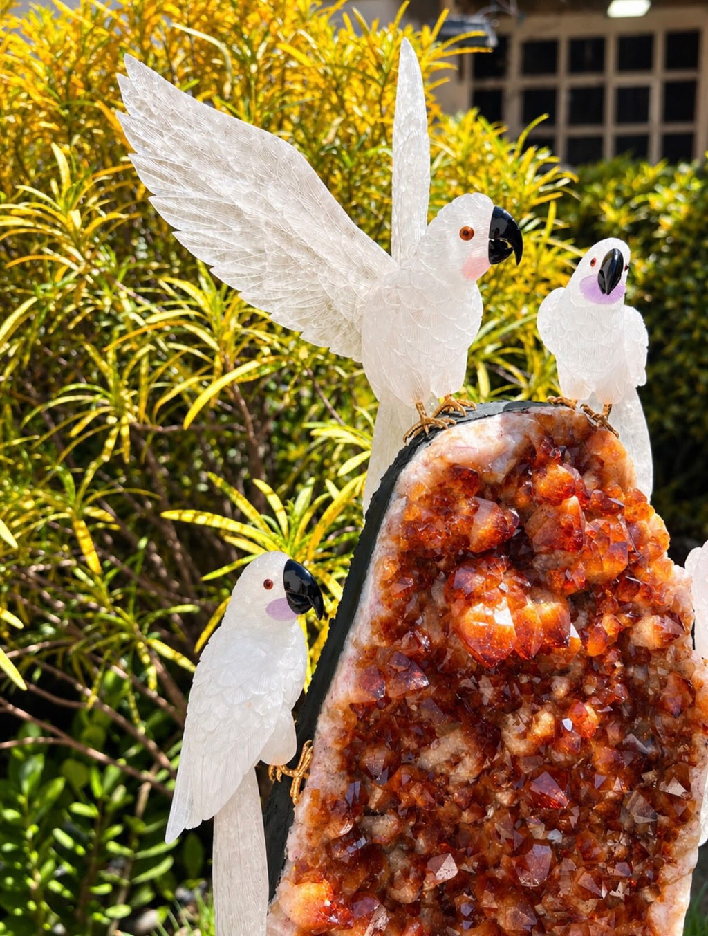 White Cockatoos on Citrine Druse — Crystal Carving