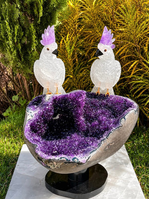 Crystal Cockatoos on Amethyst Geode Bowl — Crystal Carving