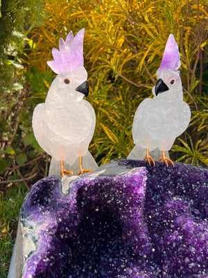 Crystal Cockatoos on Amethyst Geode Bowl — Crystal Carving